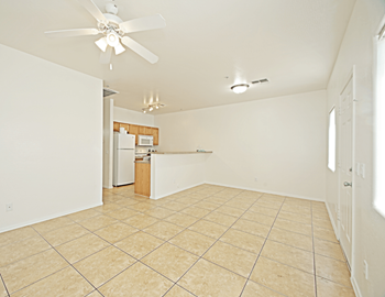 Ceiling fan